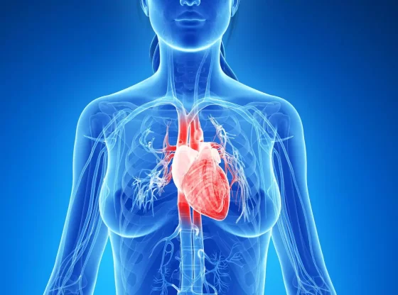 Santé cardiaque : pourquoi il est crucial de surveiller son cœur après 40 ans ?