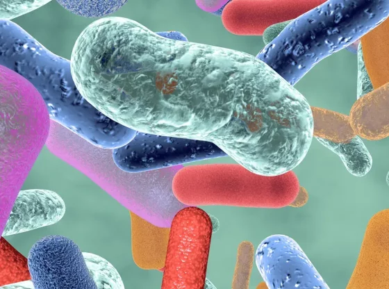 Qu'est-ce que le microbiote intestinal et pourquoi est-il essentiel ?