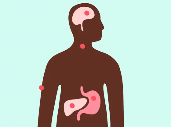 Comment prendre soin de son foie ? Les clés pour un organe en pleine santé