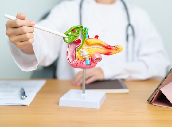 Santé : 7 conseils pour préserver la santé de votre pancréas
