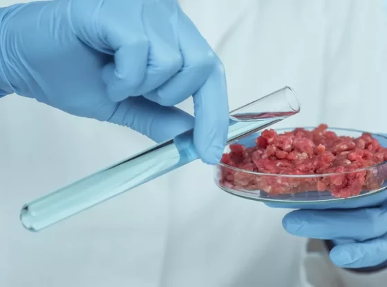 La vérité sur la viande créée en laboratoire : est-ce vraiment l’avenir de notre alimentation ?