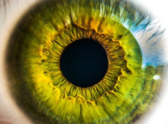 10 conseils simples et efficaces pour garder vos yeux en bonne santé