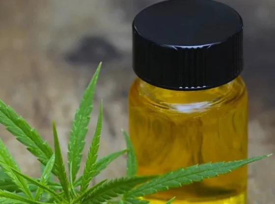 CBD : miracle ou mirage ? Efficacité et risques décryptés