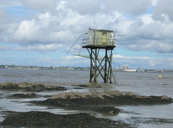 Saint-Brévin-les-Pins : 5 escapades incontournables à découvrir autour de la station balnéaire