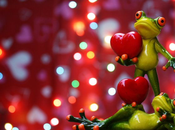 Des sorties insolites en amoureux autour de Paris pour la Saint-Valentin