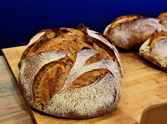 Scandale sanitaire : du cadmium dans nos aliments, êtes-vous en danger ?