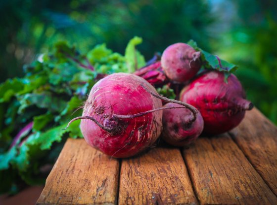 Recettes irrésistibles à base de betteraves : pour des plats sains et savoureux