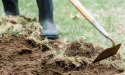 En janvier, les travaux essentiels au potager et au verger