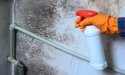 Le spray anti-moisissures : la solution magique pour un intérieur sain