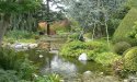 Créez votre jardin japonais : sérénité et zen chez vous !