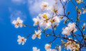 Horoscope du printemps 2025 : ce que les astres vous réservent