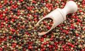 Poivre noir : super-aliment ou poudre aux yeux ? Ce que dit vraiment la science