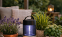 Profiter du jardin sans moustiques : les astuces qui changent tout