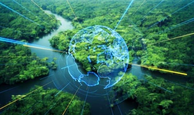 Placements durables et éthiques : ce que vous devez absolument savoir