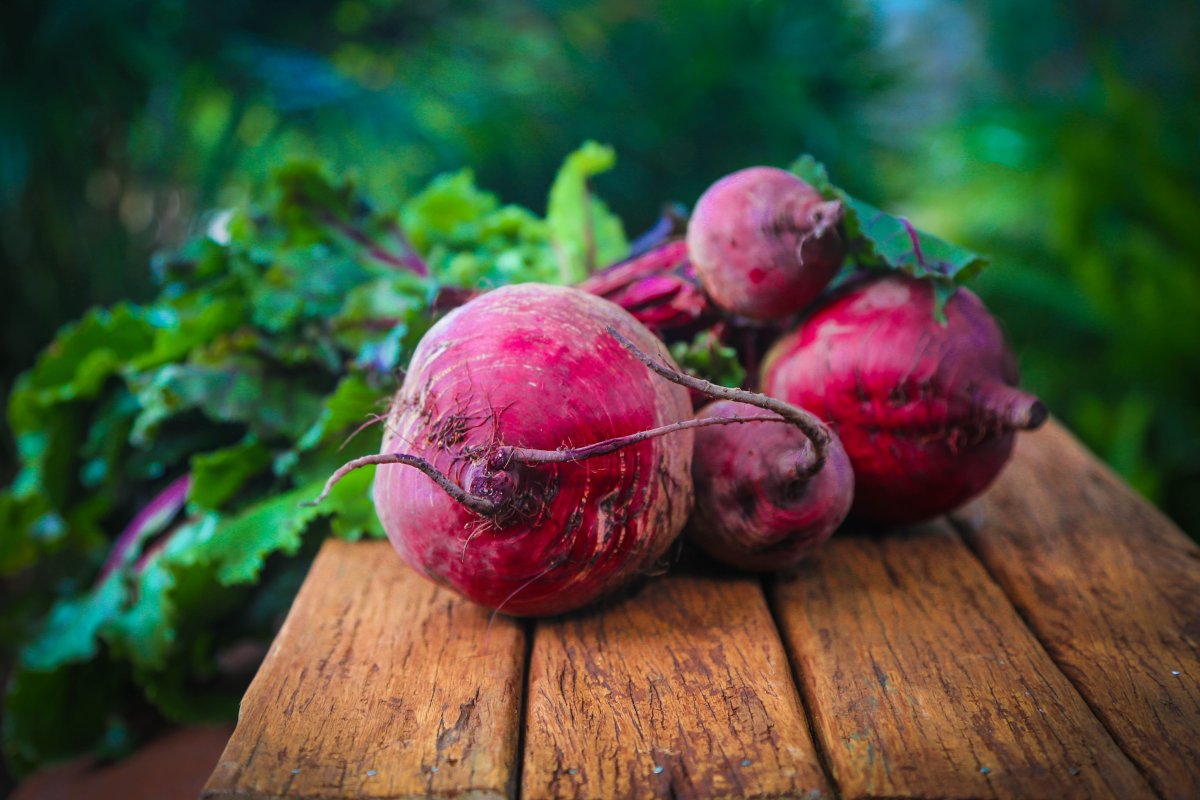Recettes irrésistibles à base de betteraves : pour des plats sains et savoureux