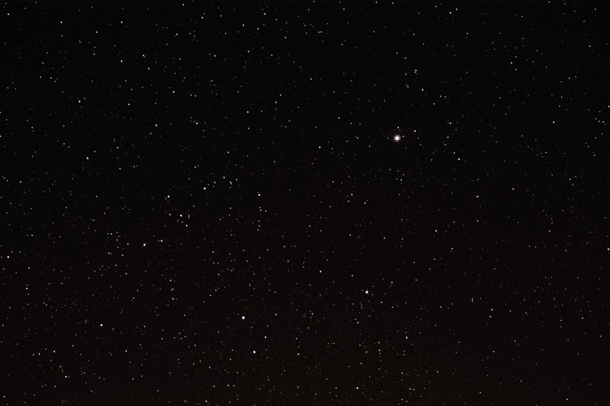 Horoscope du week-end du 1er février 2025 : Ce que les astres vous réservent