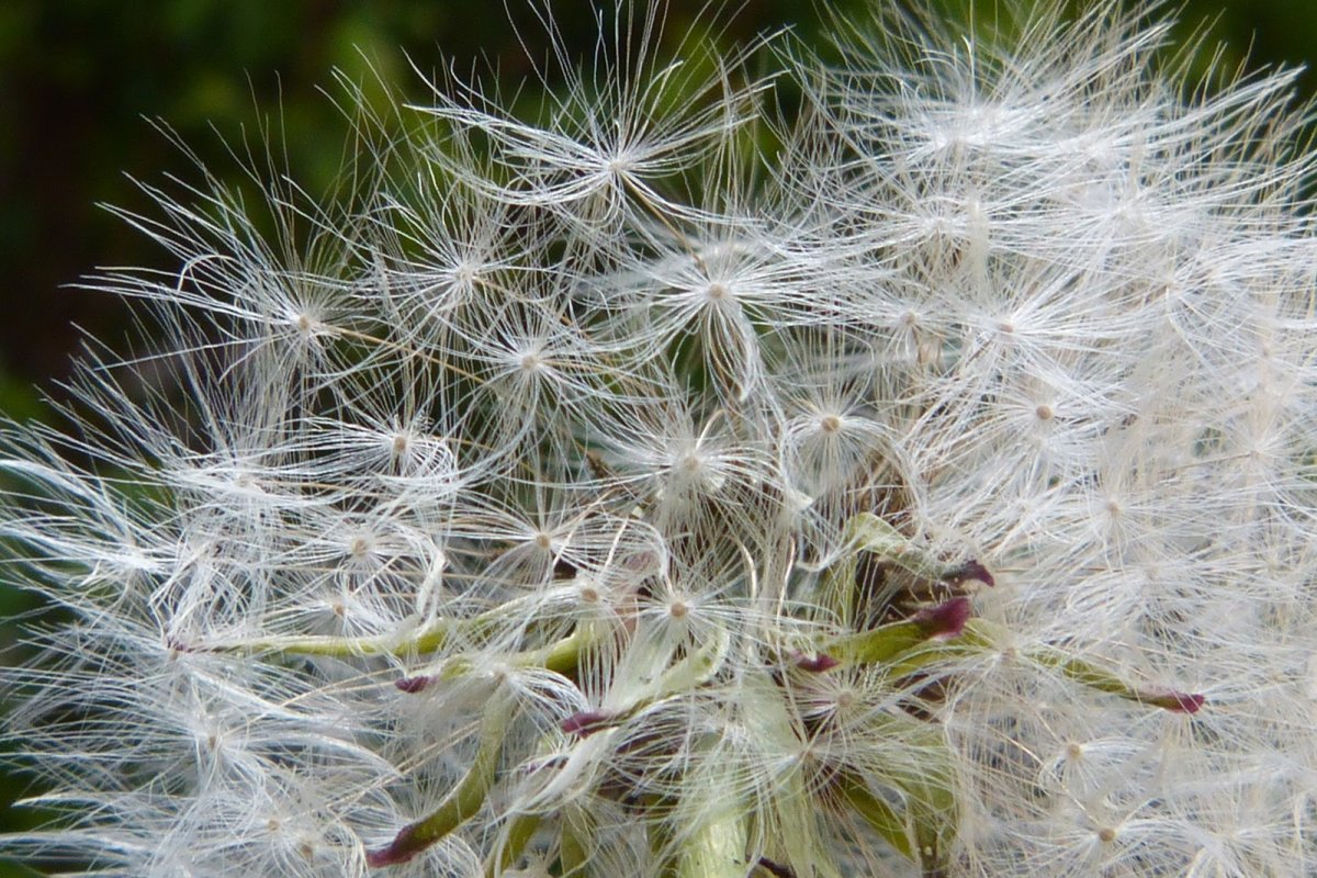 Allergies : les plus fréquentes et comment (vraiment) s’en protéger