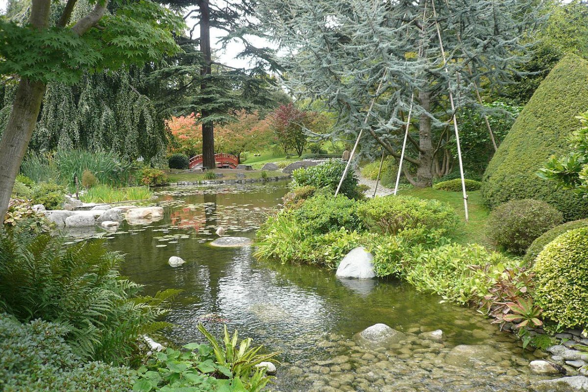 Créez votre jardin japonais : sérénité et zen chez vous !