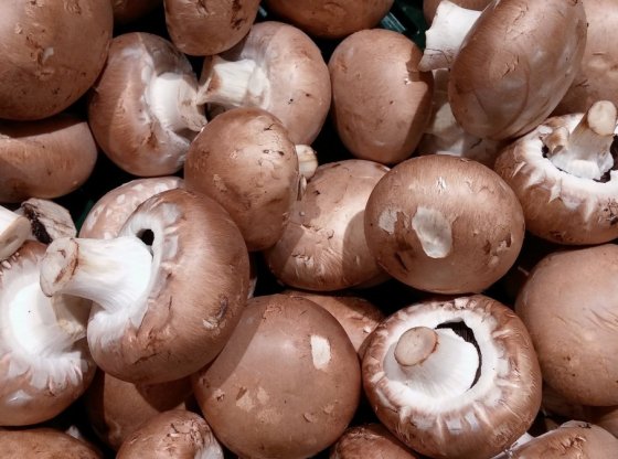 Secrets de cuisine : comment sublimer vos plats avec des champignons ?